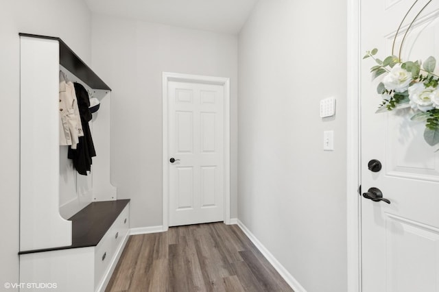 mudroom with wood-type flooring