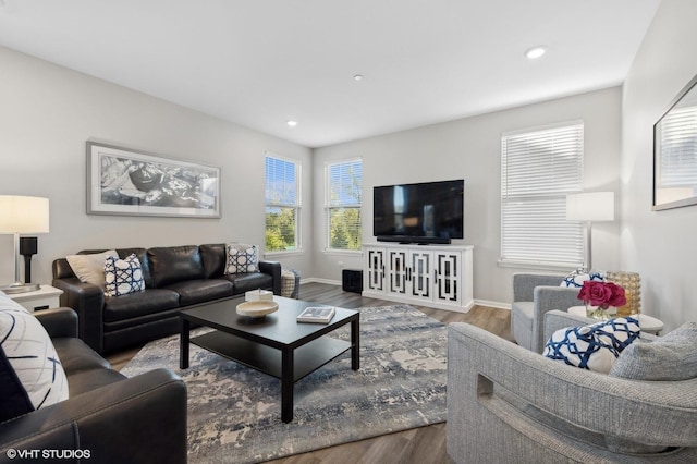 living room featuring hardwood / wood-style floors