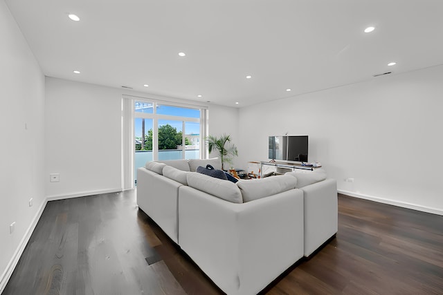 living room featuring dark hardwood / wood-style flooring