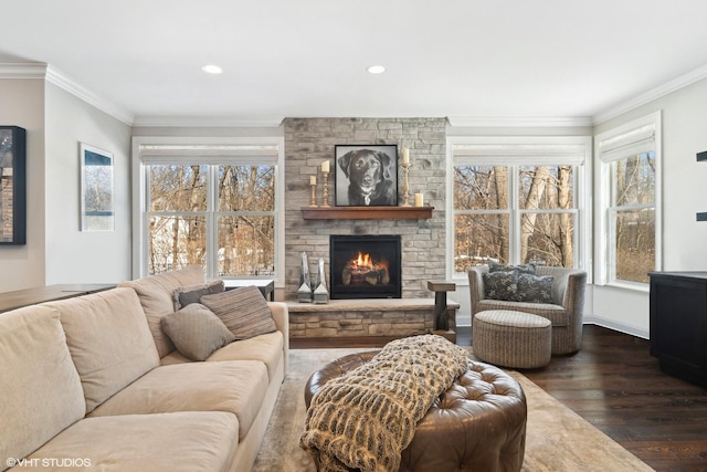 living area featuring plenty of natural light, a fireplace, dark wood-type flooring, and crown molding