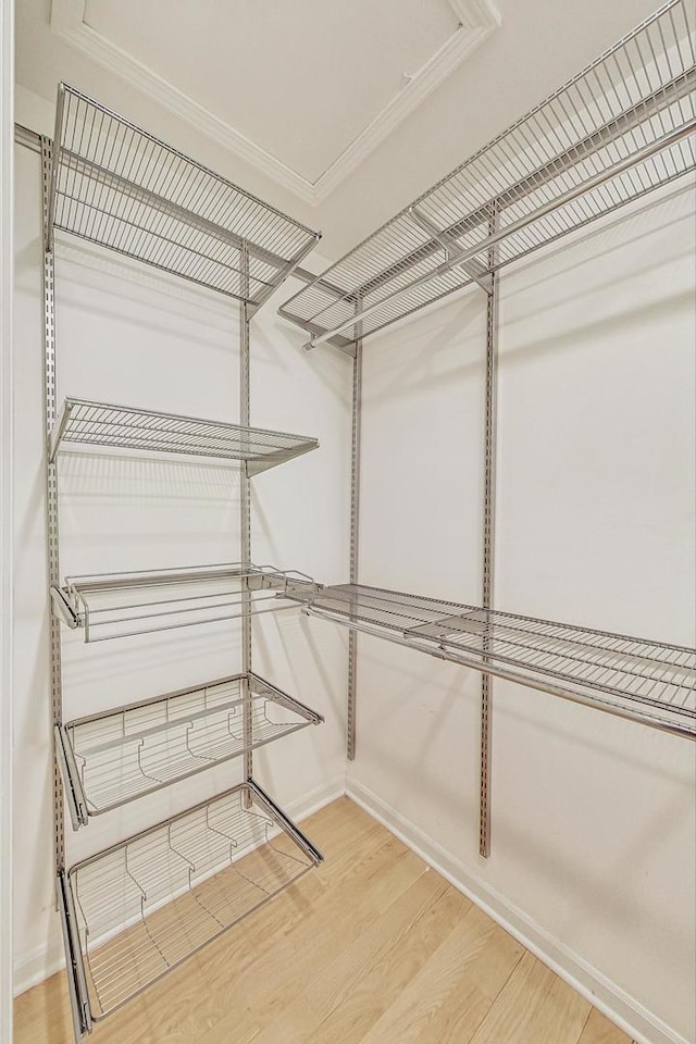 walk in closet with hardwood / wood-style floors