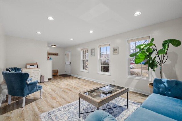 living room featuring light hardwood / wood-style flooring