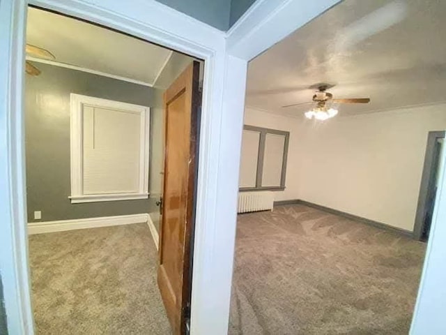 corridor featuring carpet flooring and radiator