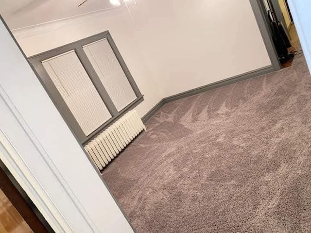 room details featuring carpet flooring