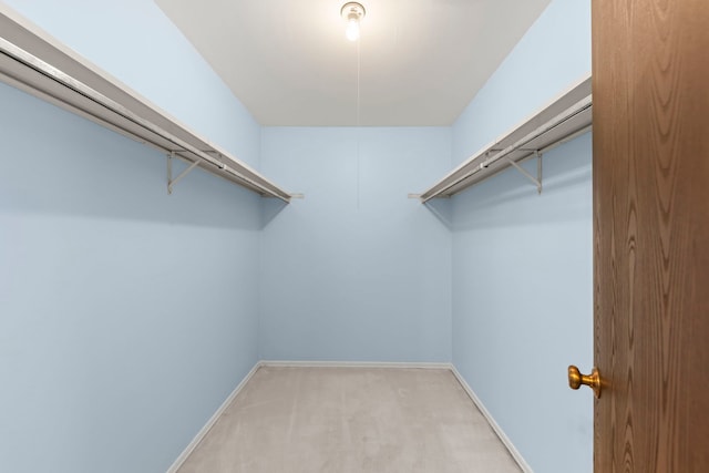 spacious closet featuring carpet