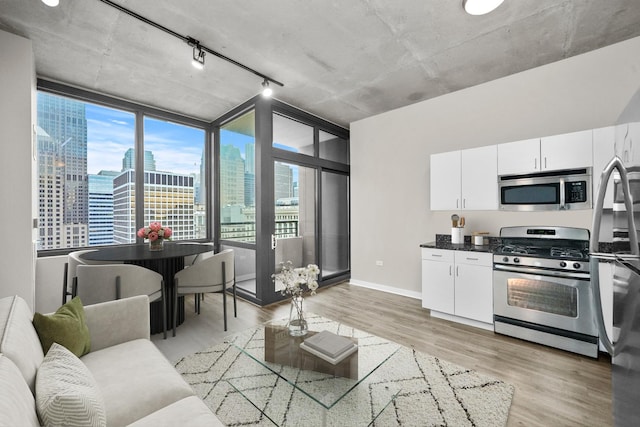 living room with floor to ceiling windows, rail lighting, and light wood-type flooring