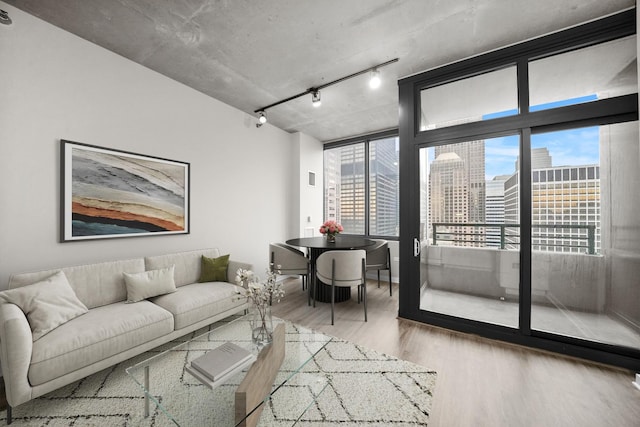 living room featuring a wealth of natural light, rail lighting, and light wood-type flooring