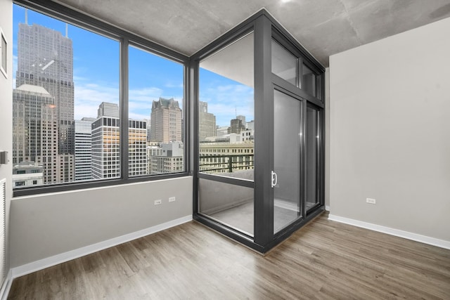 unfurnished room with wood-type flooring