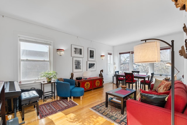 living room featuring hardwood / wood-style flooring