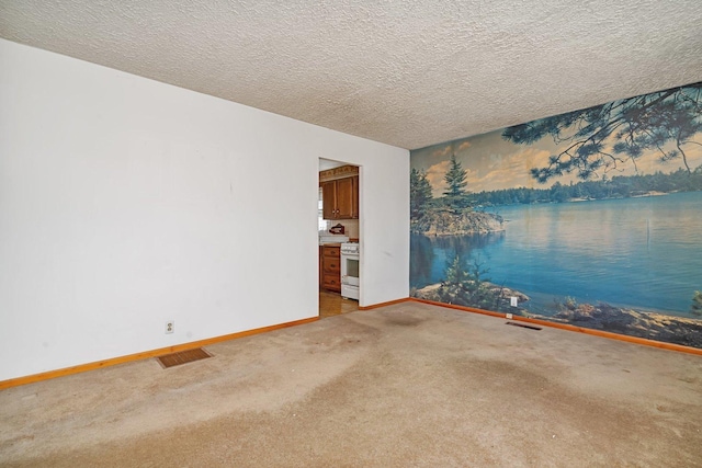 unfurnished room with light colored carpet and a textured ceiling