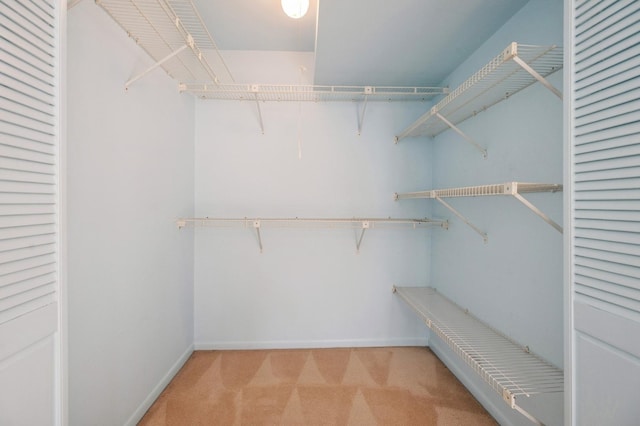 walk in closet featuring light colored carpet