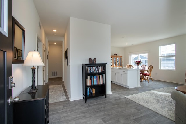 interior space with hardwood / wood-style floors and sink