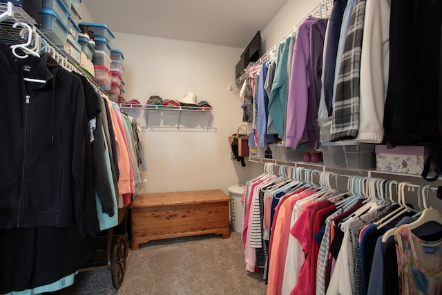 walk in closet featuring carpet floors