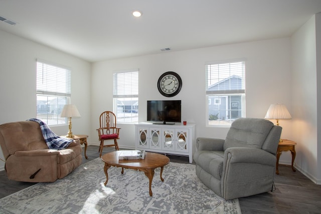 living room featuring hardwood / wood-style flooring