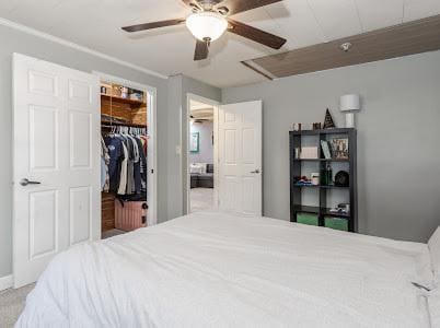 bedroom with ceiling fan, a spacious closet, and a closet