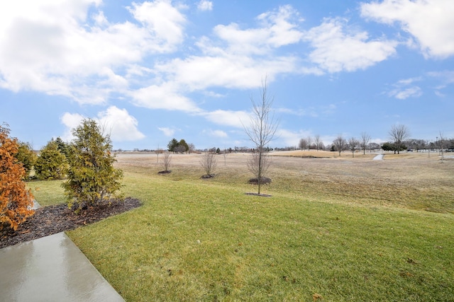 view of yard featuring a rural view