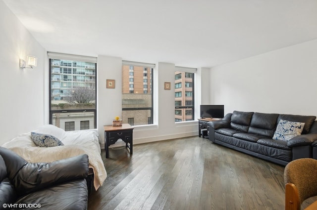 living room with dark wood-type flooring