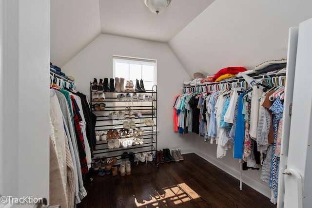 spacious closet with lofted ceiling and dark hardwood / wood-style floors