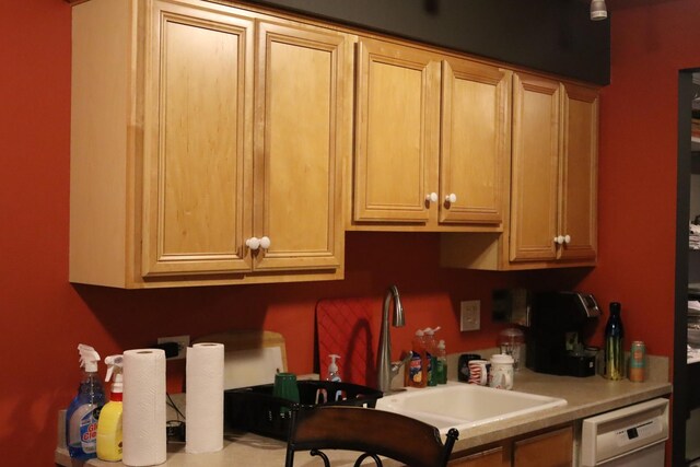 kitchen featuring sink and dishwasher