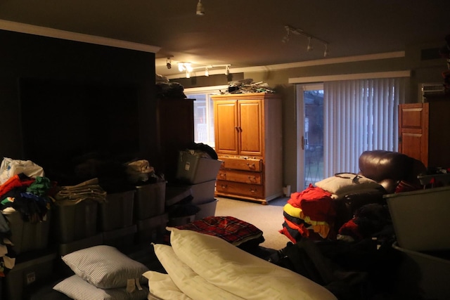 bedroom featuring light carpet and track lighting