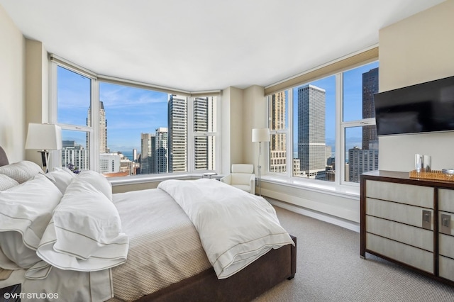 carpeted bedroom with multiple windows