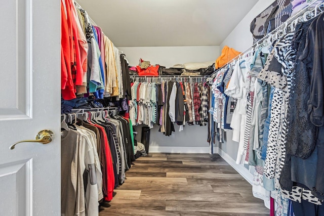 spacious closet with hardwood / wood-style flooring