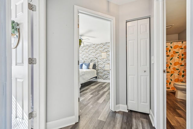 hallway with wood-type flooring