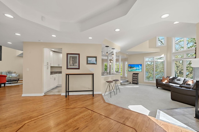 living room with sink, a tray ceiling, and light hardwood / wood-style floors