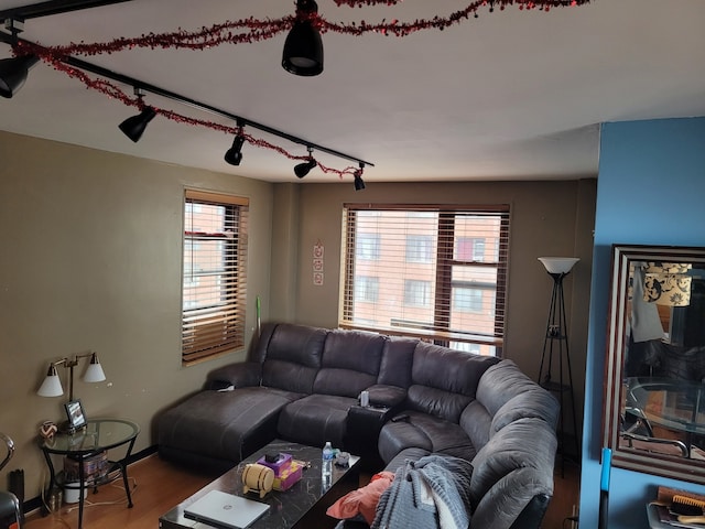 living room with hardwood / wood-style flooring