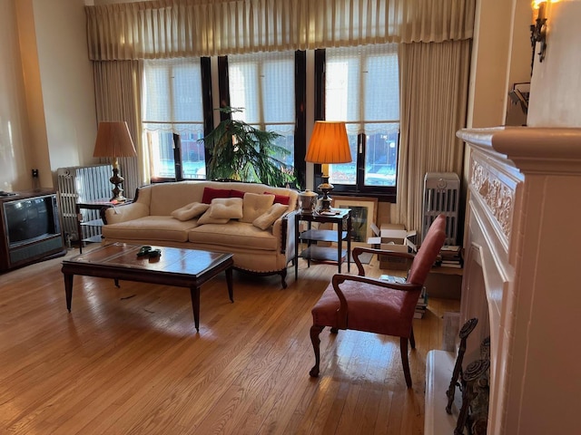 living room featuring radiator, light hardwood / wood-style flooring, and a healthy amount of sunlight