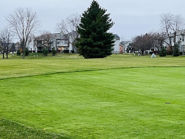 view of community with a lawn