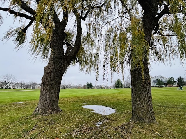 view of property's community with a yard