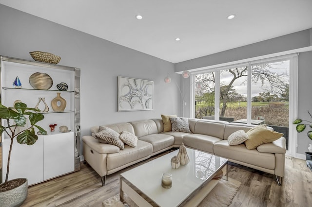 living room featuring wood-type flooring