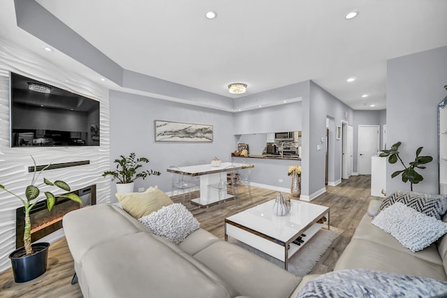 living room with light hardwood / wood-style floors