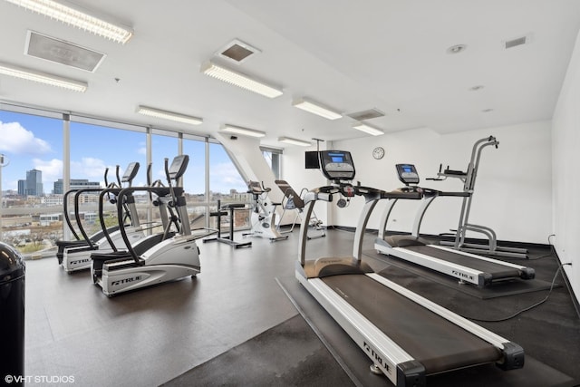 gym featuring a wall of windows