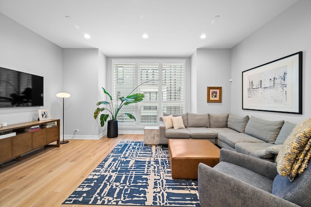 living room featuring hardwood / wood-style floors