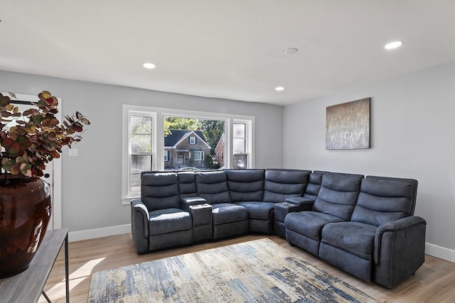 living room featuring wood-type flooring