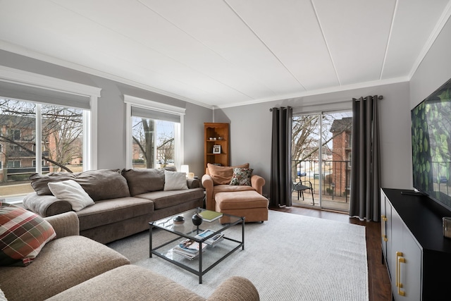 living room with hardwood / wood-style floors and ornamental molding