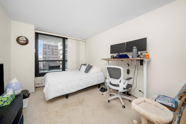 bedroom featuring carpet floors