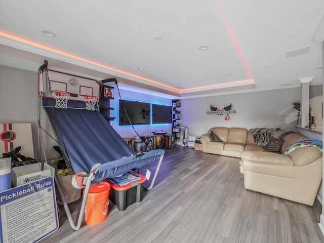 living room with a raised ceiling and hardwood / wood-style floors