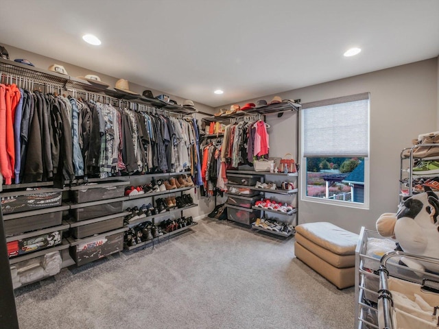 walk in closet featuring light carpet