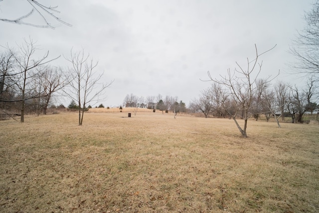 view of yard featuring a rural view