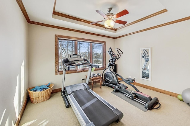 exercise area featuring crown molding, ceiling fan, a raised ceiling, and carpet floors