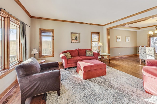 living room featuring an inviting chandelier, hardwood / wood-style flooring, crown molding, and a healthy amount of sunlight