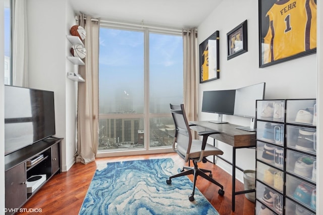 office area with a wealth of natural light, dark hardwood / wood-style floors, and expansive windows