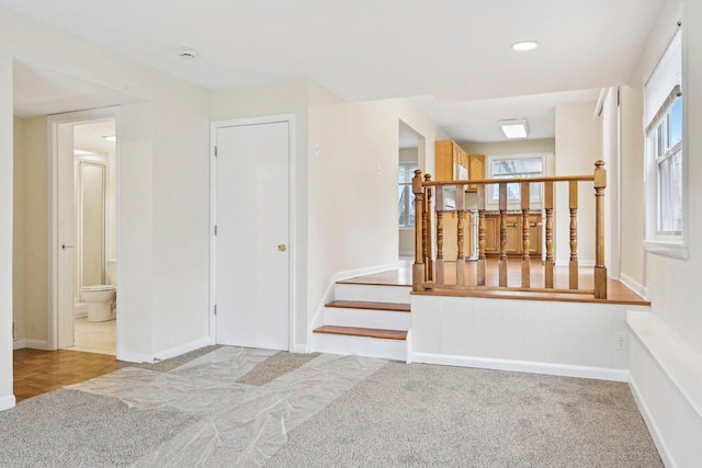 stairway with carpet flooring