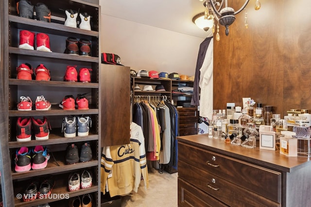 view of walk in closet