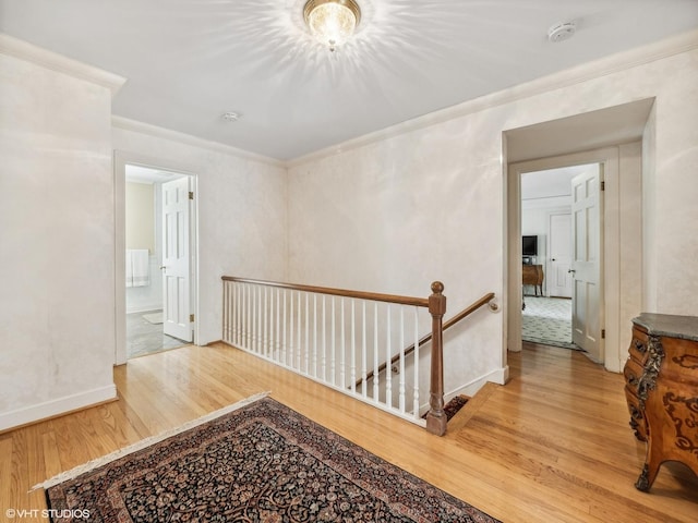 hallway featuring hardwood / wood-style flooring and crown molding