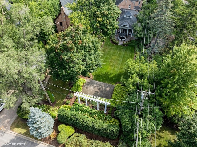 bird's eye view