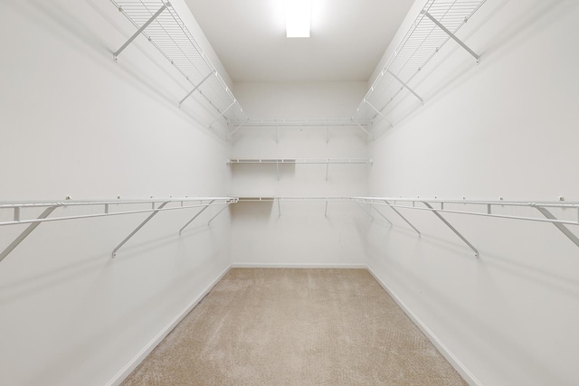 spacious closet with light colored carpet